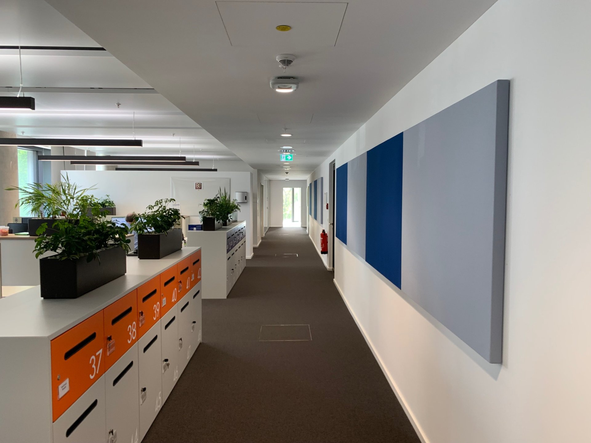Wandabsorber im Open-Space-Büro – München